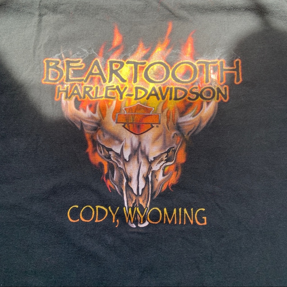 VINTAGE 2003 Beartooth Harley Davidson Tee